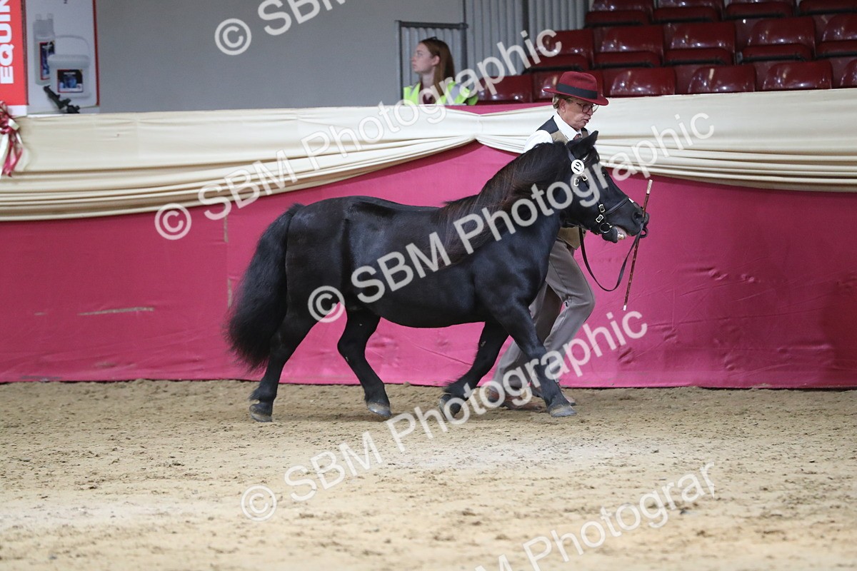 SBM_06260 - Class 9R Regional- IH Pre Vet