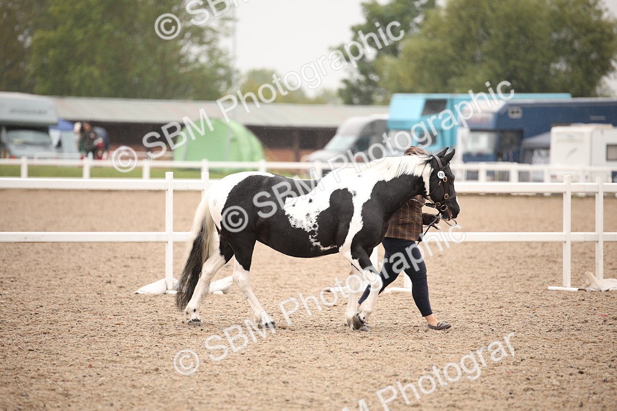 SBM_20159 - Class 703 - IH  Coloured