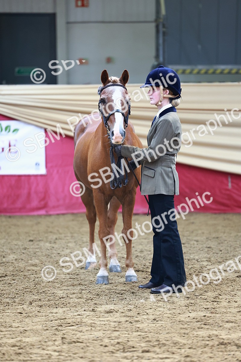 SBM_22303 - Class 902 - Supreme Final - IH Diamond