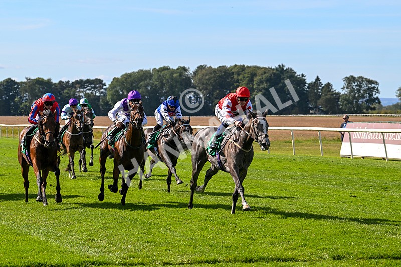 160924-Race 2-Magic Love-2640 - Race 2