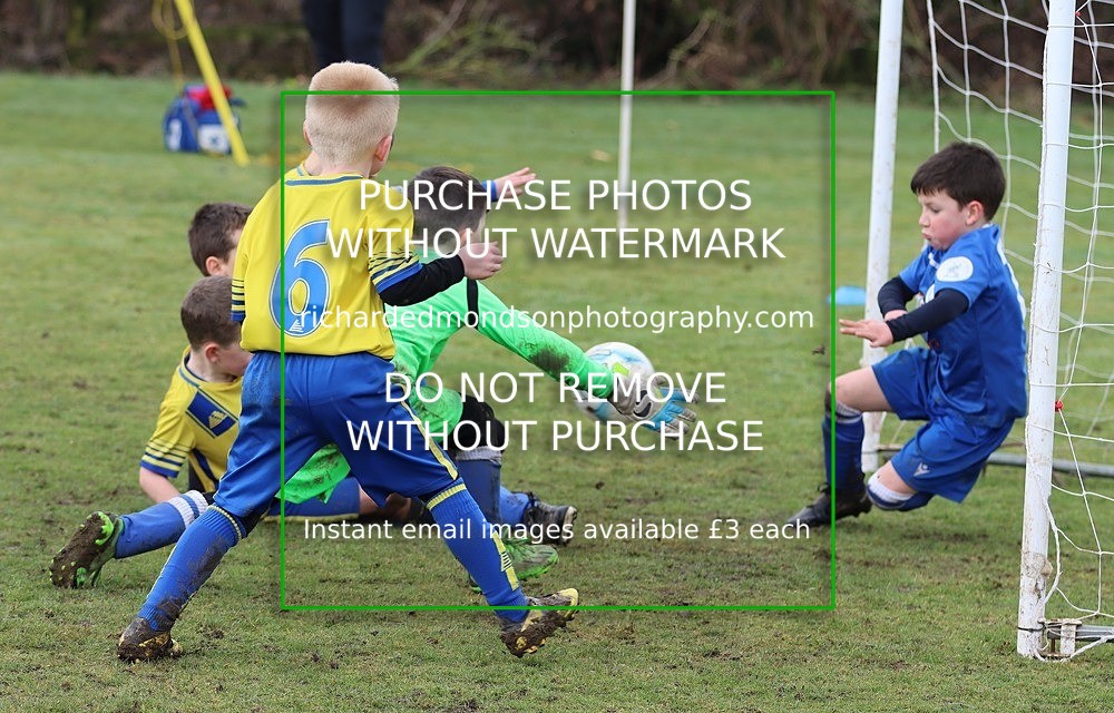 IMG_5713 - Ibis Under 7's vs Kendal Utd Under 7's (18/3/23)
