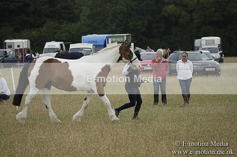 B230619-0257 - Bourne Valley Riding Club Summer Show 23/06/19