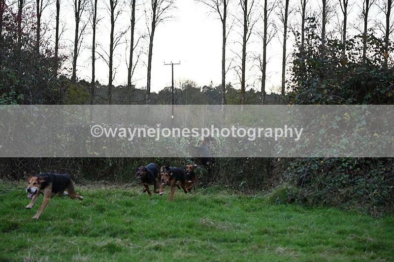 WJ6_0386 - Camera 1