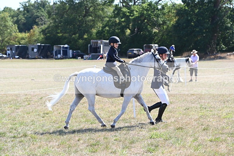 WJ6_7771 - Class 36 Lead Rein
