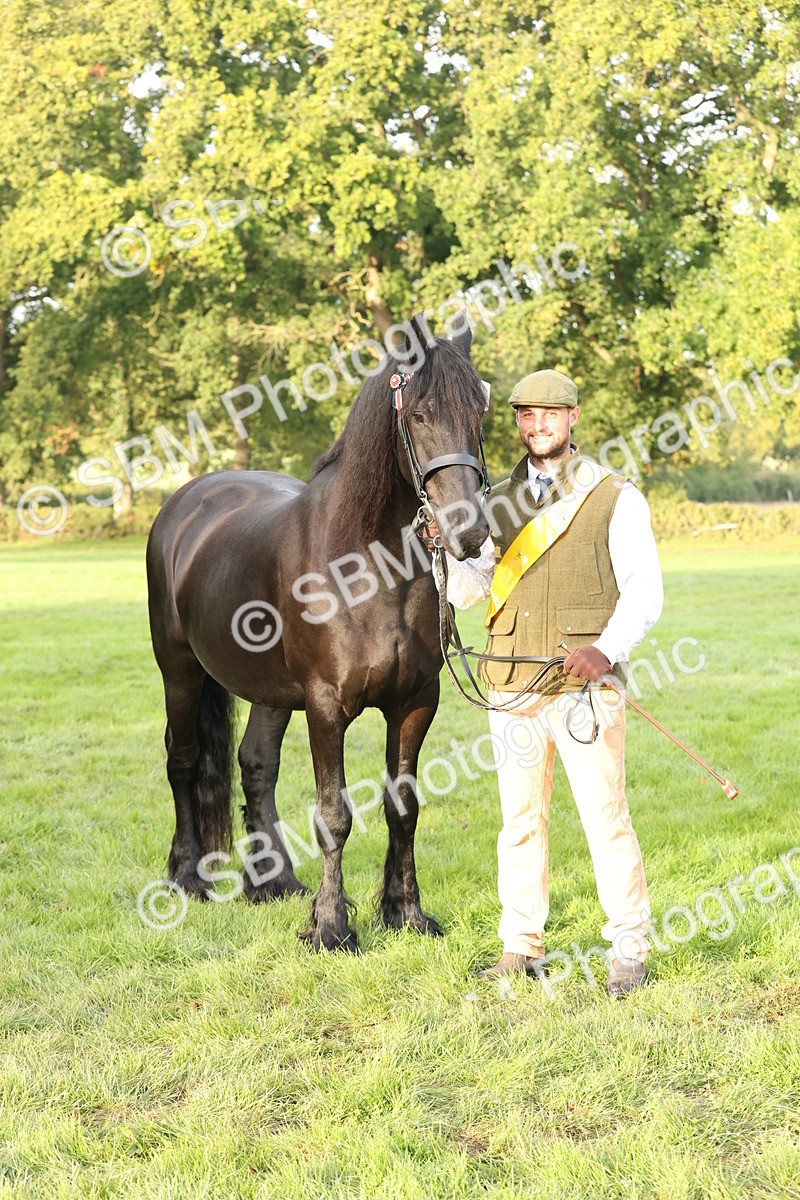 SBM_54457 - S51 - Foreign Breeds In Hand