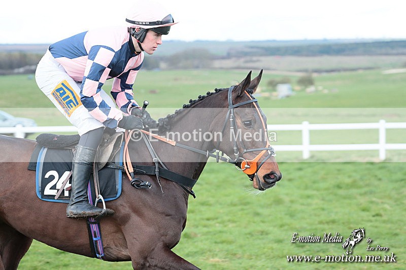 PtP 230324 957 - Tedworth Hunt PtP Larkhill Raccourse 23rd March 2024