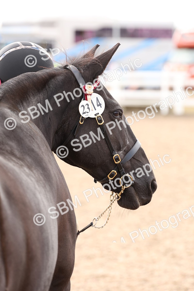 SBM_14707 - Class 208 - IH Veteran Horse