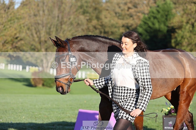 241027-083424-14671 - 390-Pippa.Howell-Phippard-NO.LIMIT.II