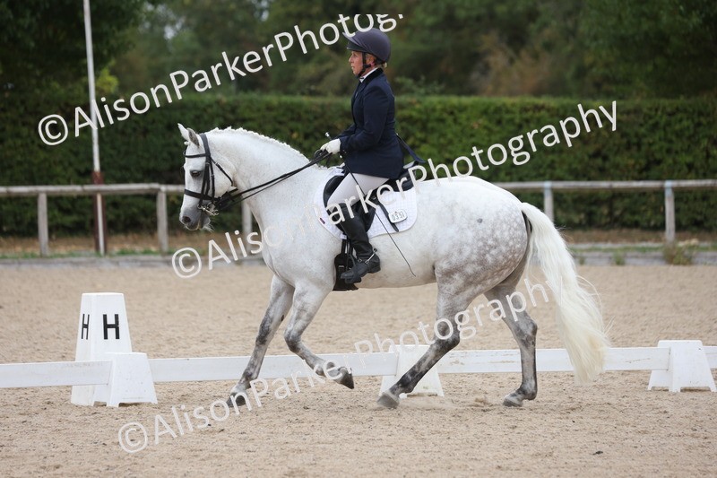 20250820-1155 - Class 17 - Elementary 4