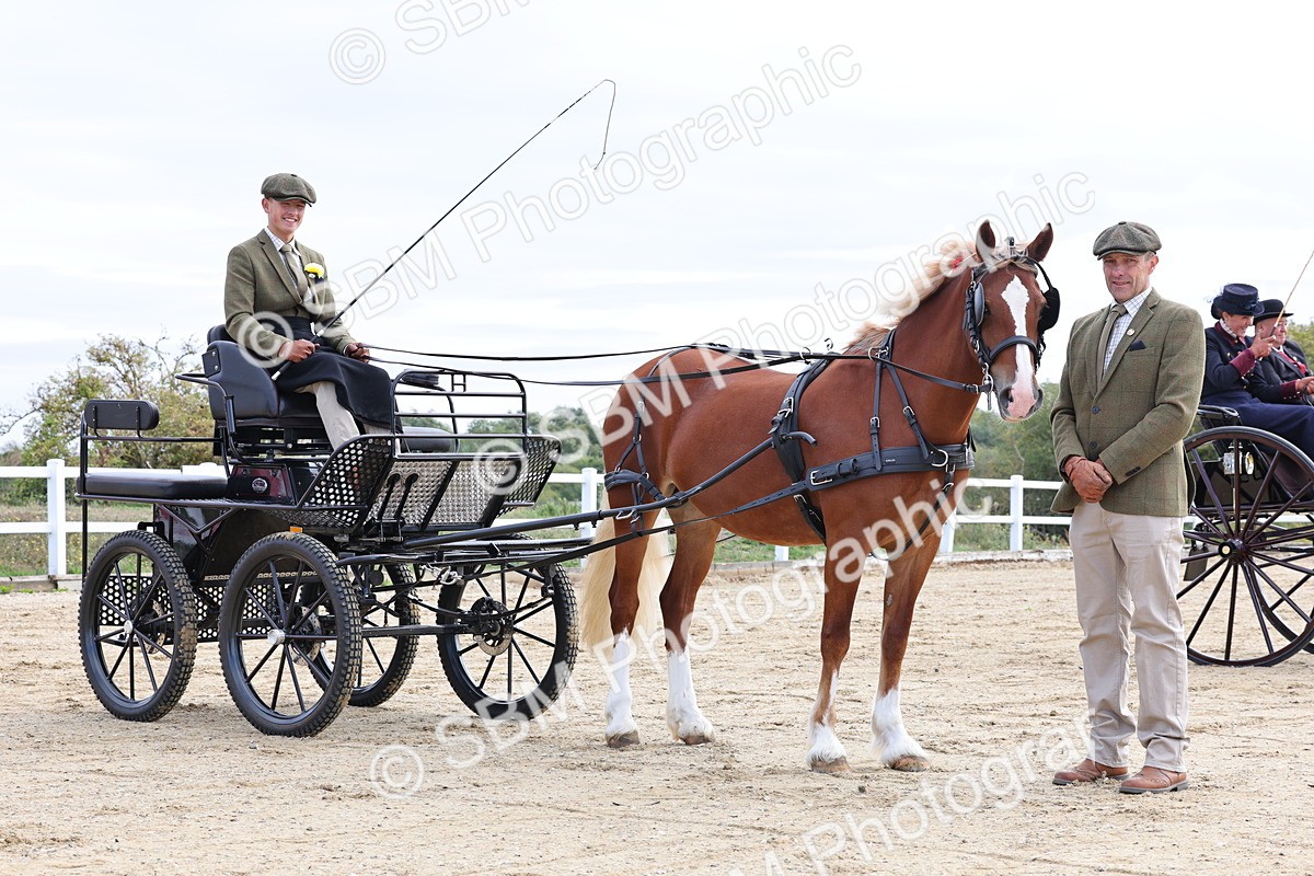 SBM_000461 - Class 4 - Junior Whip