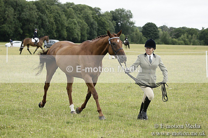 BVR160717-219 - Ring 2 BVRC Show 16/07/17