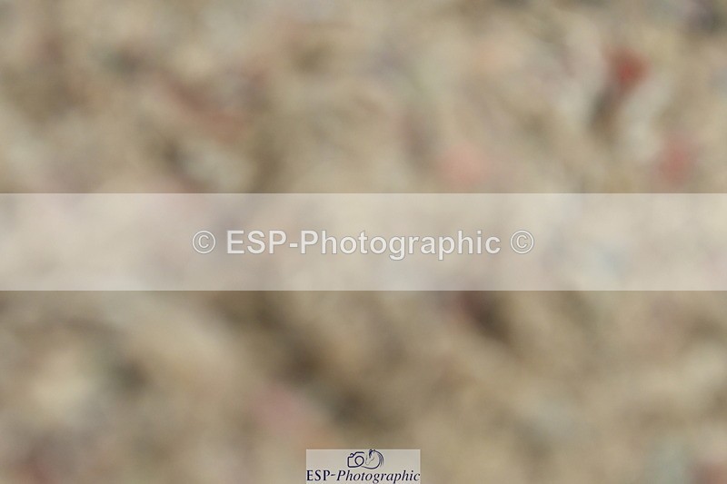 230630A-125347-01966 - Cls 7 Elementary 45