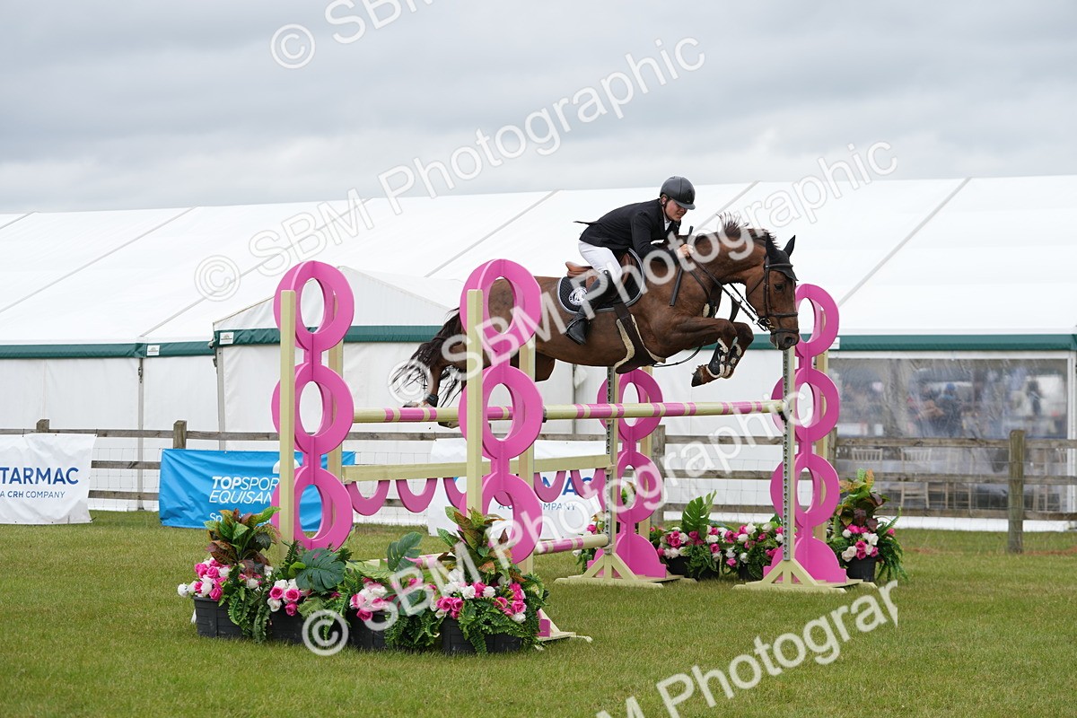 SBM_03447 - Class 201 - British Horse Feeds Speedi Beet Horse of the Year Show Grade  C
