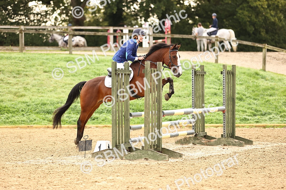 SBM_58226 - J41 - Grand Tour Horse & Pony 95cm