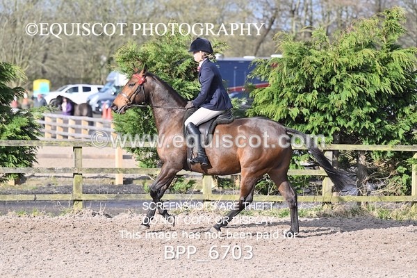 BPP_6703 - RING 1  (RIDDEN HORSES / IN HAND / VETERAN ETC)