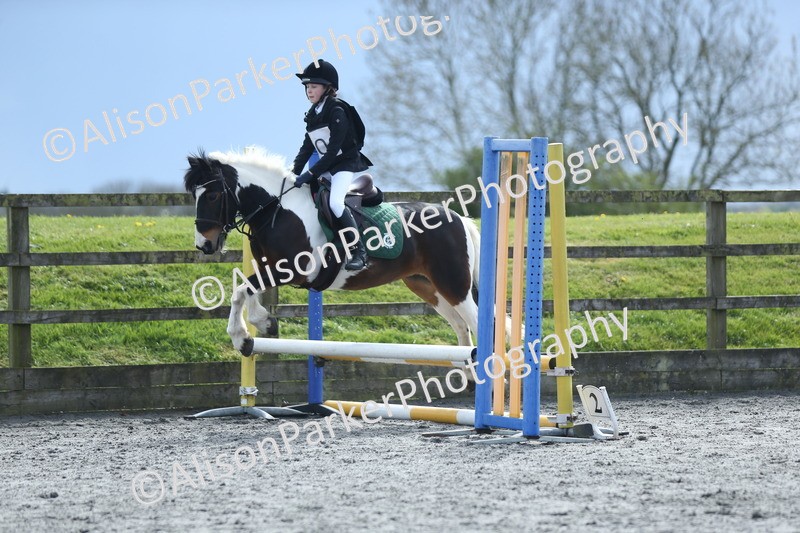 20260412-1818 - Show Jumping