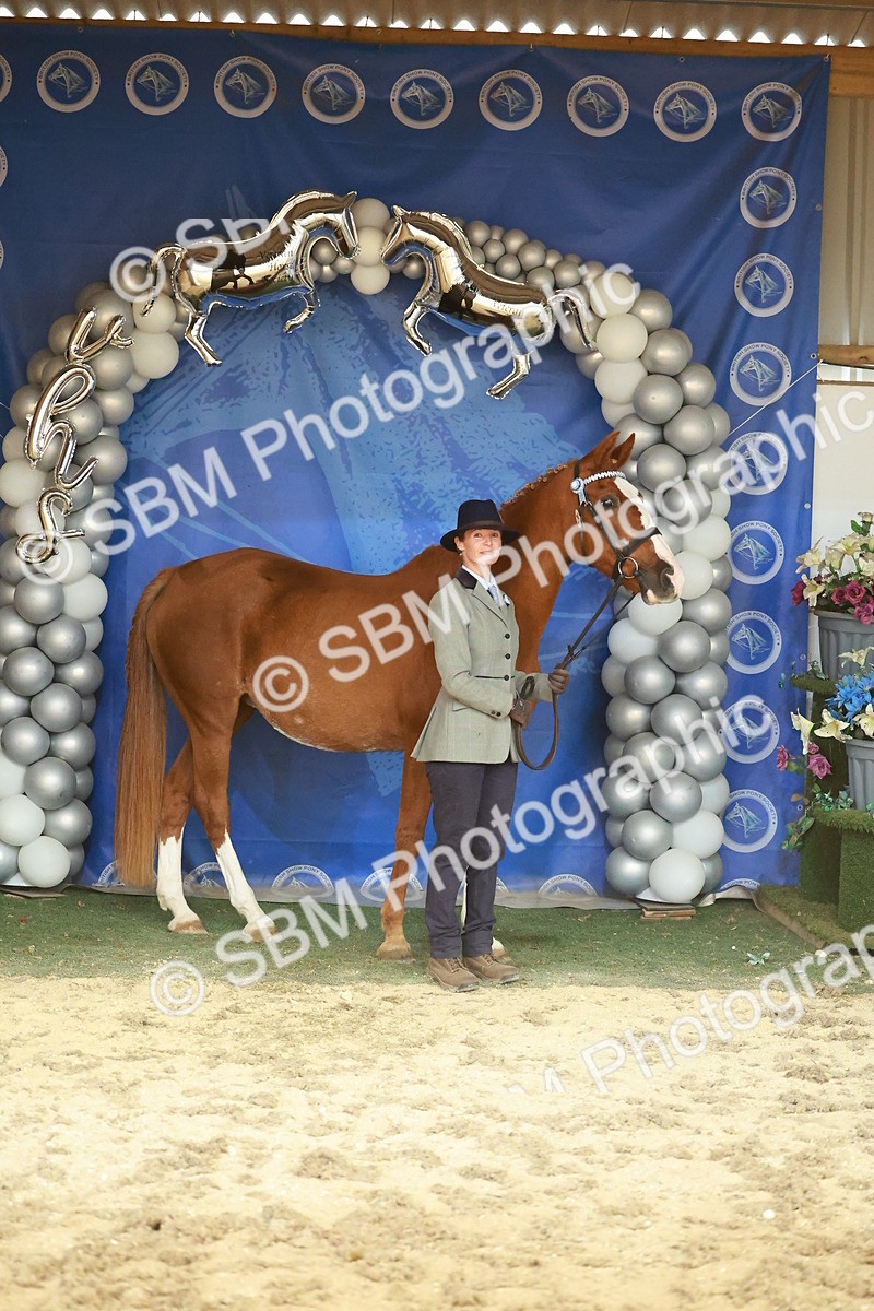 SBM_13713 - Class 104 - IH  Costume