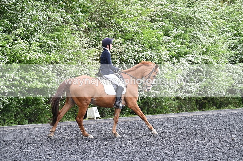 WJ7_1502 - Time 14:58 to 15:03