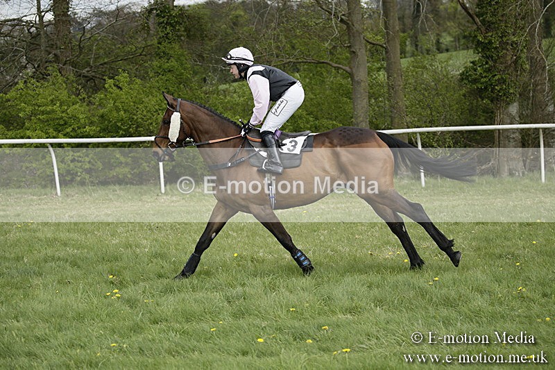 PtP 170417 132 - Old Berks Point-to-Point Lockinge 17/04/17