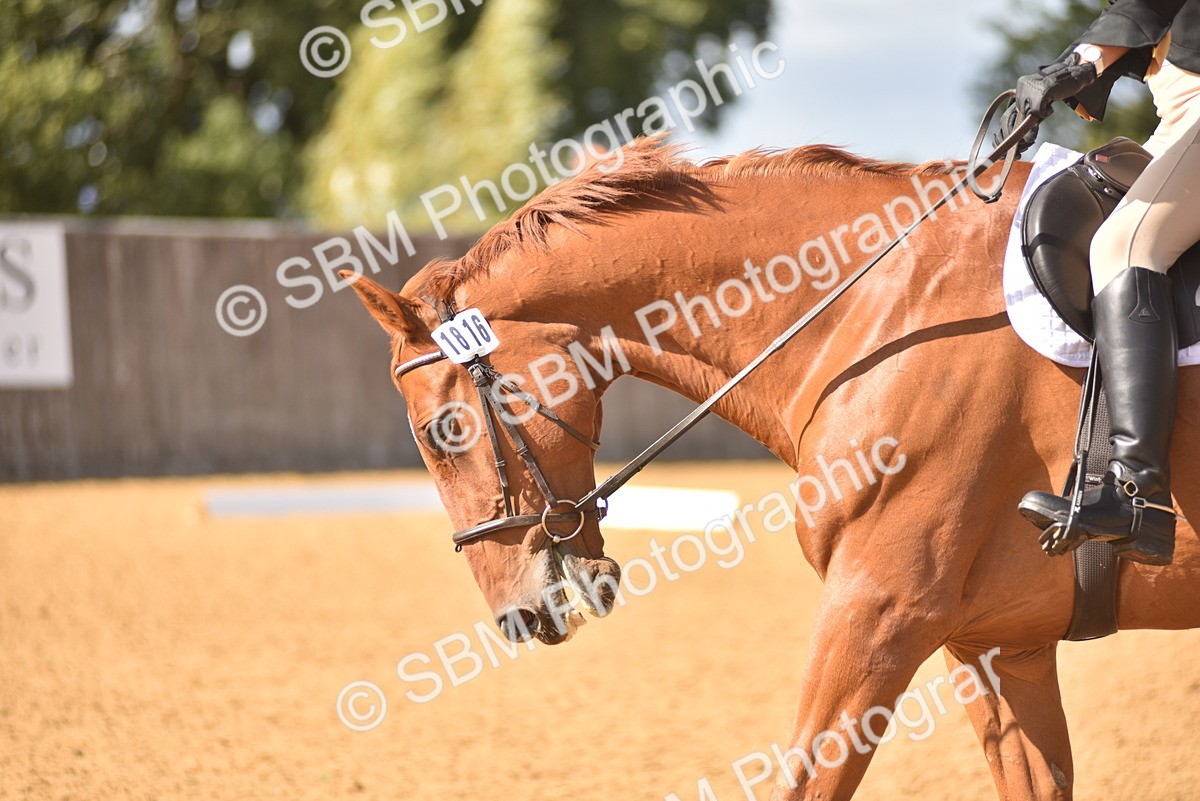 SBM_24242 - D4 - Small Tour Championship Intro 4