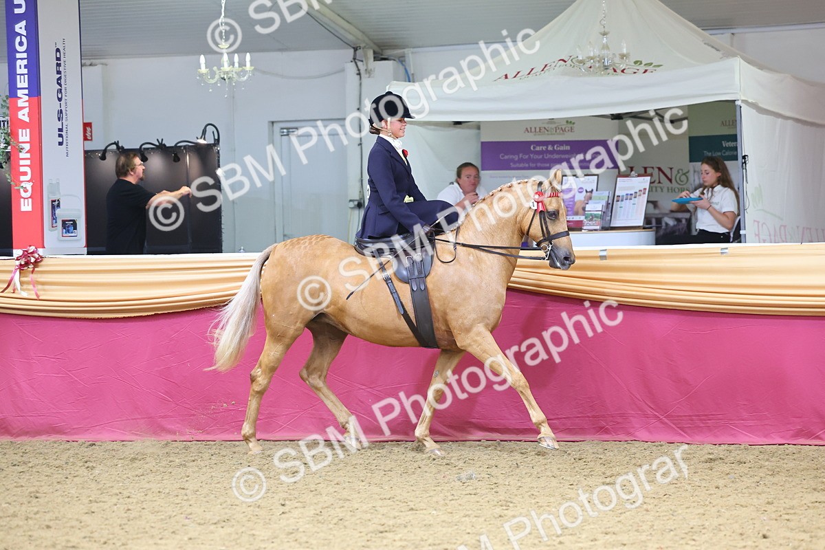 SBM_24332 - Class 906 - Supreme Final - Ridden Pre Vet