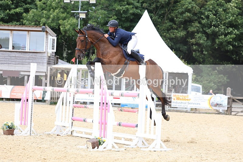 3E7A6579 - Class 9: Senior Foxhunter/1.20 open