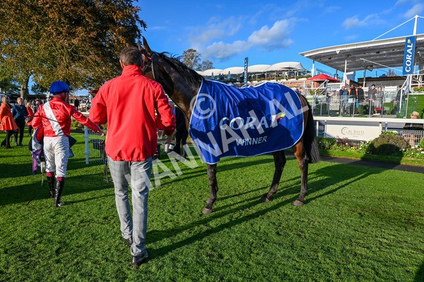 141023-Race 7-Star Ahoy-9398 - Race 7 4.45pm Coral 'Committed To Safer Gambling' Finale Handicap