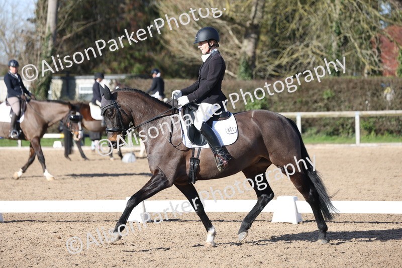 20260214-0455 - Class 5 - Novice 3