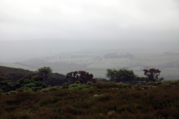 EXM_ 010 - Exmoor landscape Photography