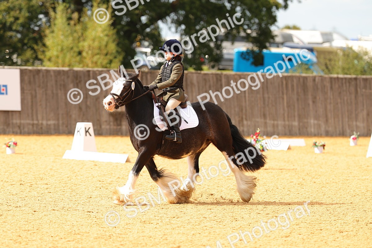 SBM_48224 - D22 - Junior Championship - Intro B