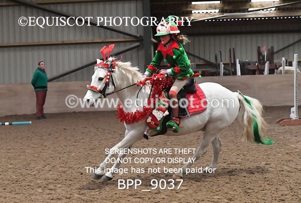 BPP_9037 - CLASS 3 50CM-70CM Pairs Show Jumping