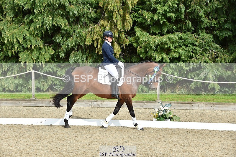 230812-160858-05415 - Novice Bronze Presentations