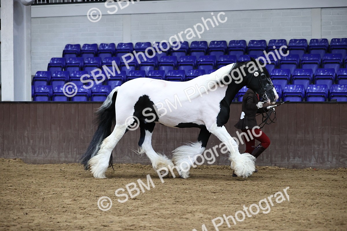 SBM_5622 - Class 40 - RESS In Hand Qualifier
