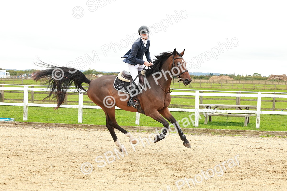 1I0A7024 - Class 2 - Senior British Novice