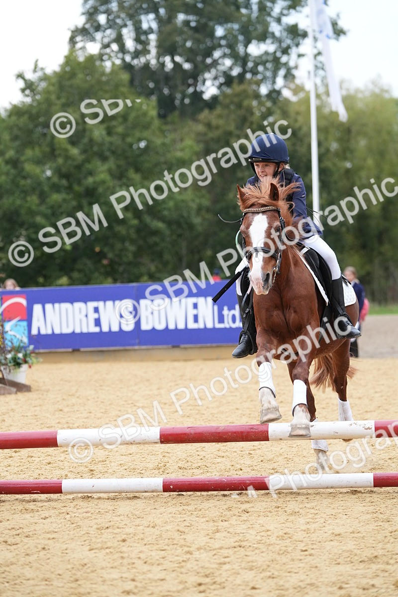 SBM_74579 - J4 - Mini Tour Junior Pony 45cm Championship