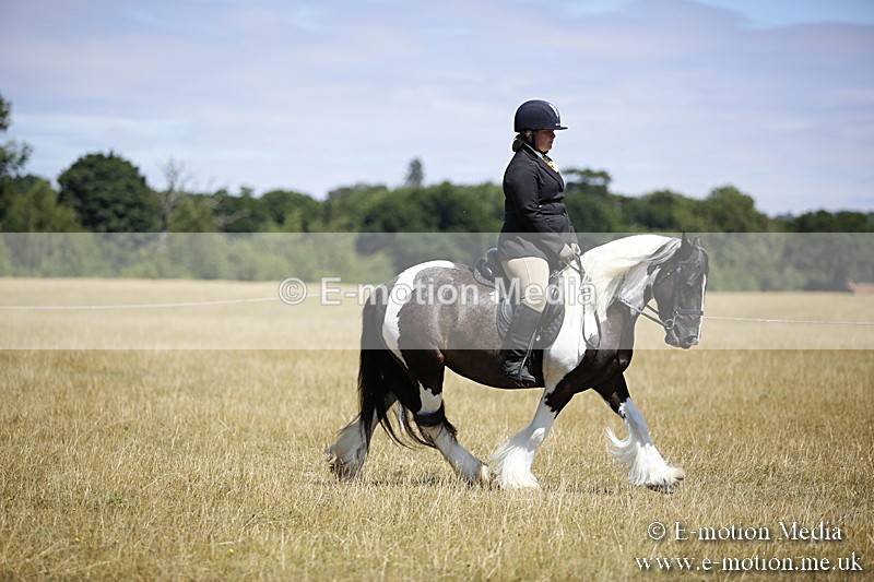 _C7A9849 - BVRC Show 2018 Ring 1