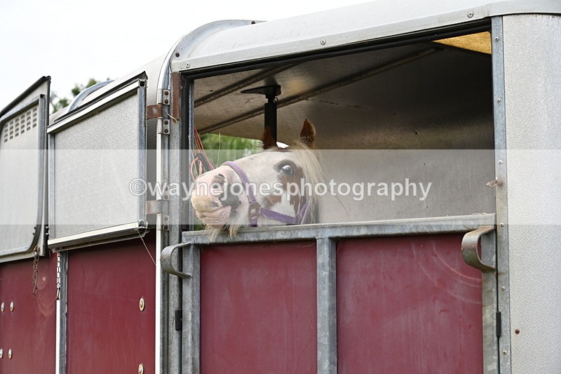 WJ6_3007 - Berks & Bucks - The Old farmhouse - Hound Exercise 20-08-25