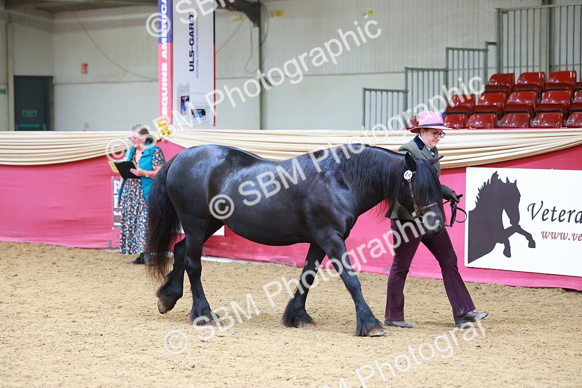 SBM_04241 - Class 9R - IH Pre-Vet