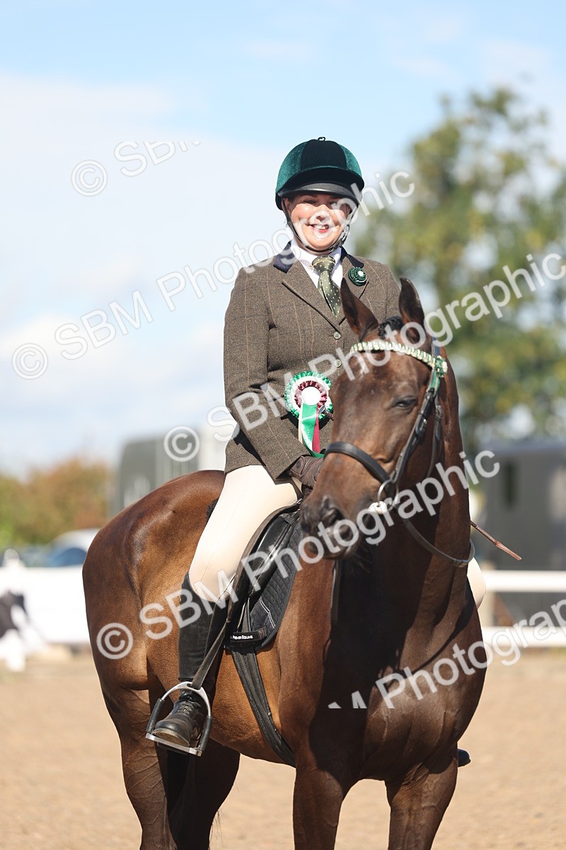 SBM_13135 - Class 305 - Ridden Foreign Breed Pure Bred