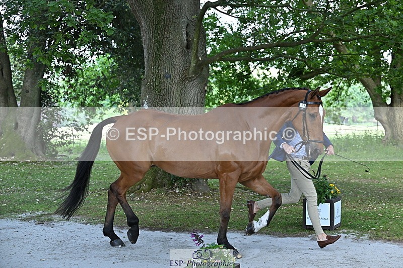 250521A-155213-00809 - B-375-Lucas.Poole-GERDEAKER