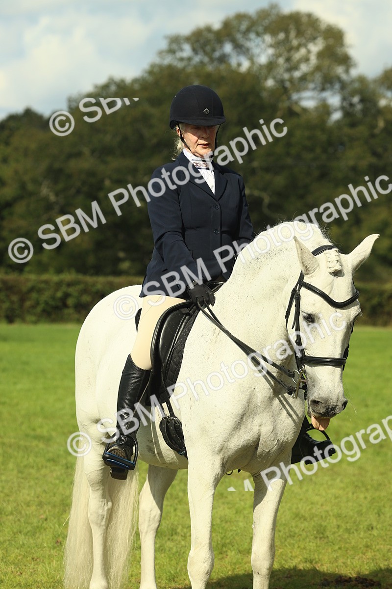 SBM_62511 - S62 - Foreign Breeds Ridden