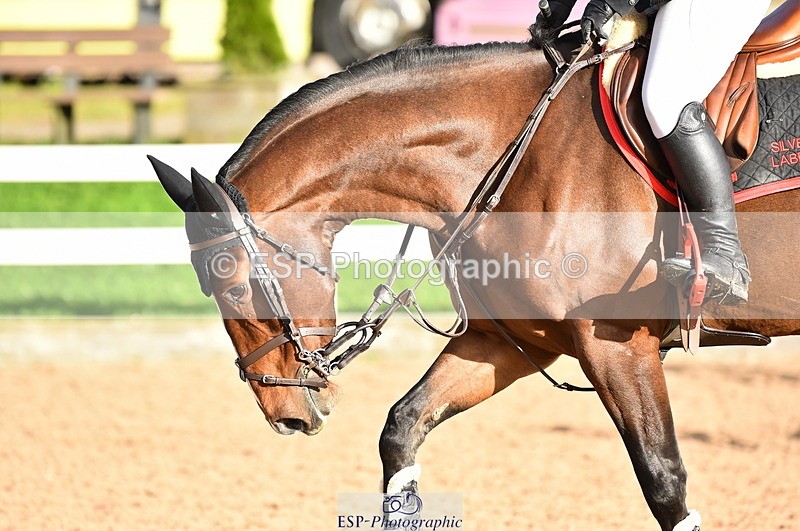 231014A-154938-06128 - Cls 16 1.10m Grand Prix