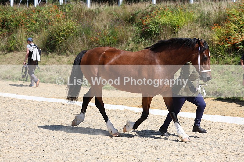 3E7A9560 - Class 32: Best Grass Kept