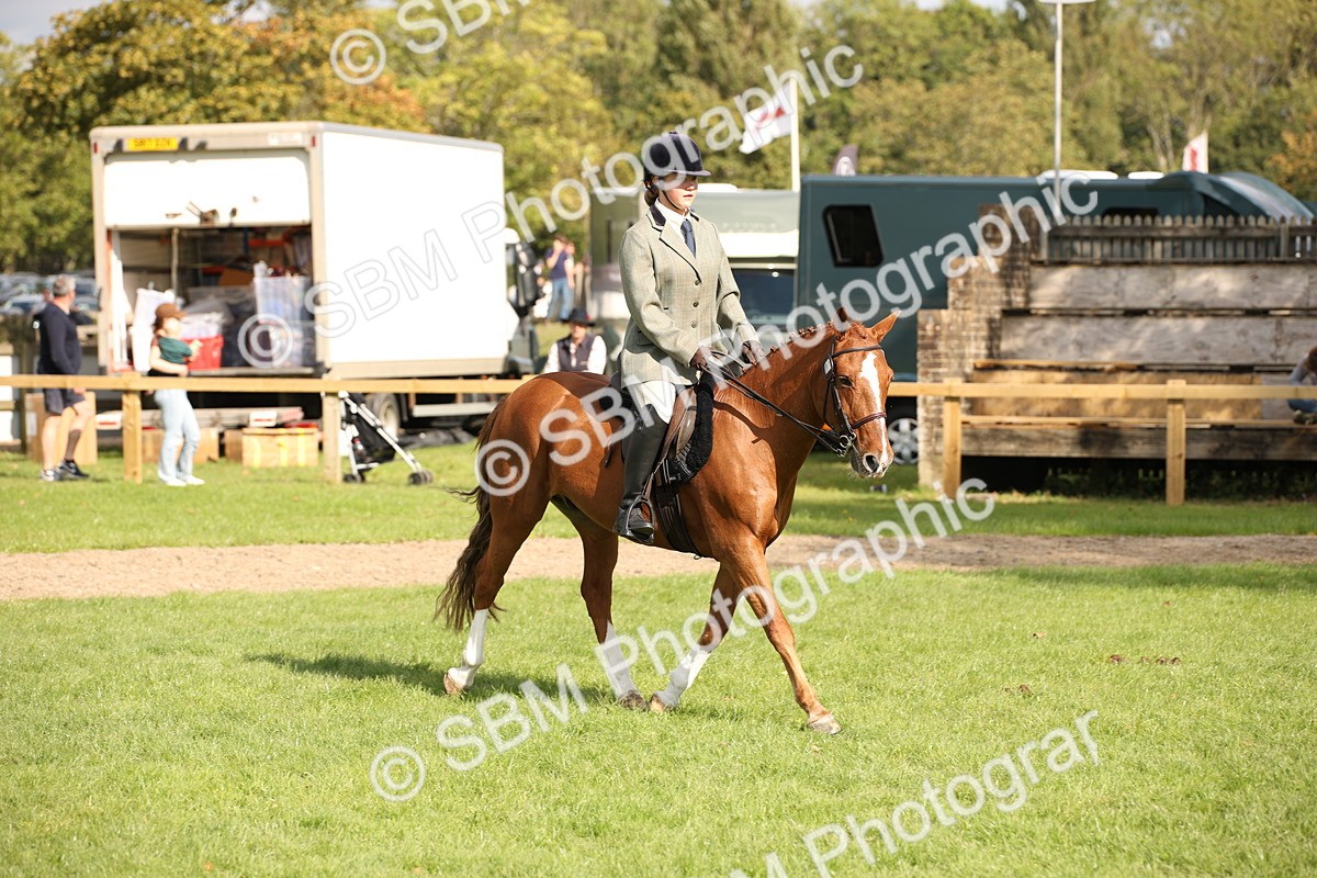 SBM_50041 - S26 - Young Veteran - Ridden