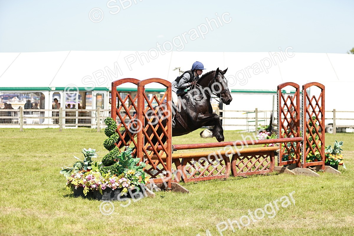 SBM_17356 - Class 110-111 - Training Stakes (70cms 80cms)