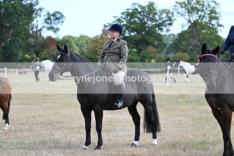 WJ7_6335 - Class 13 Ridden Veterans
