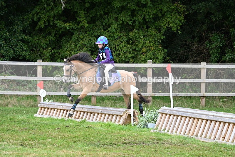 WJ7_7154 - 40cm Time 10:06 to 10:24