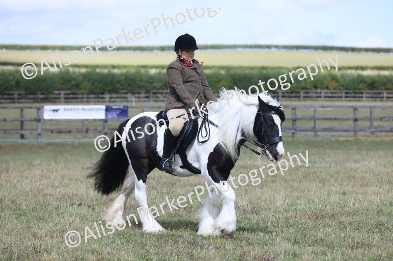 20250831-4193 - Class 20 - Ridden Coloured