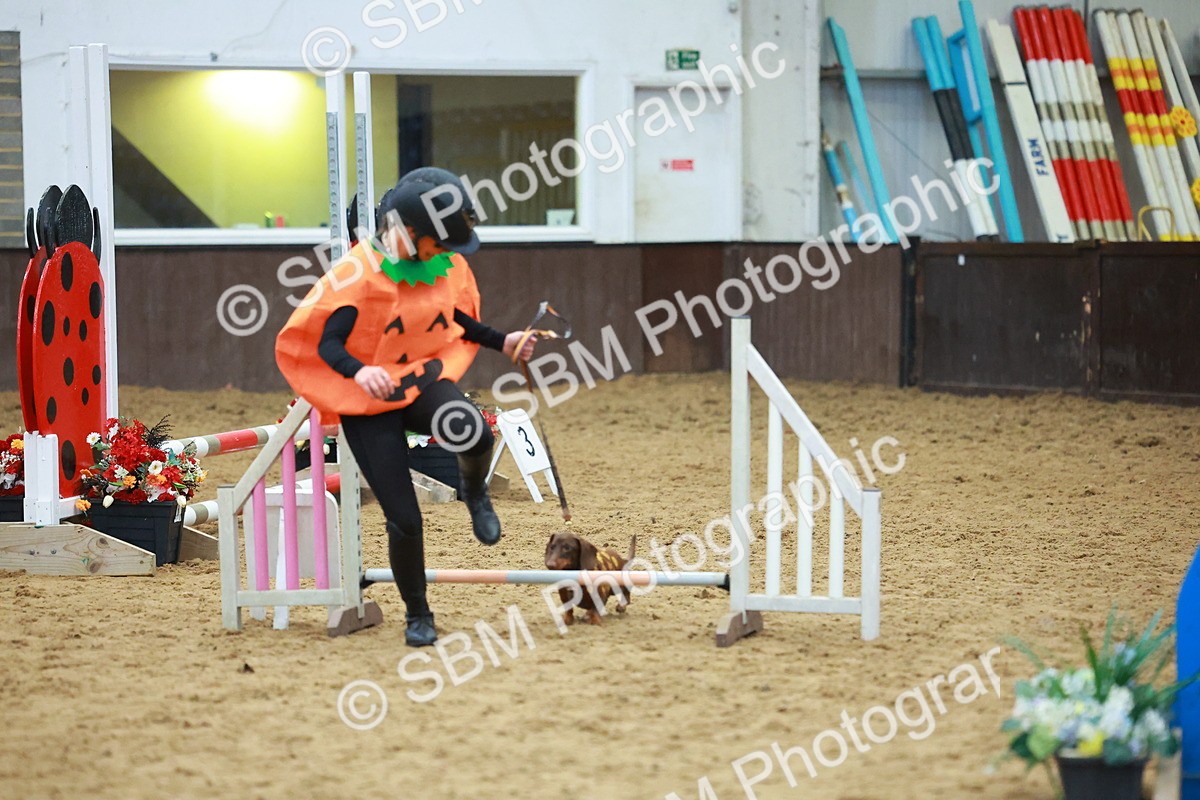 SBM_002196 - Class 3 - Horse & Hound (60cm)