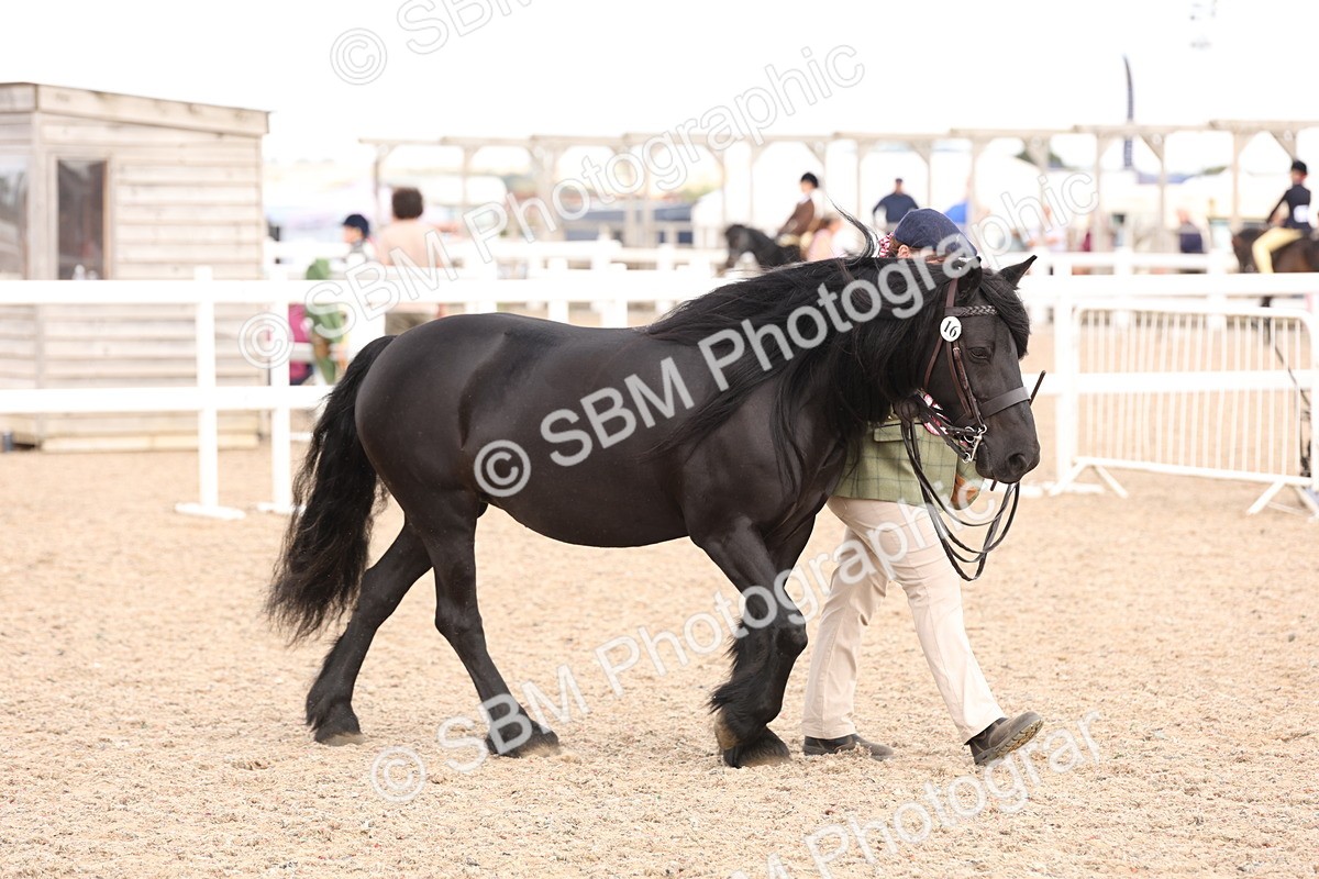 SBM_15156 - Class 209 - IH Veteran Pony